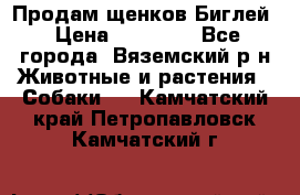 Продам щенков Биглей › Цена ­ 15 000 - Все города, Вяземский р-н Животные и растения » Собаки   . Камчатский край,Петропавловск-Камчатский г.